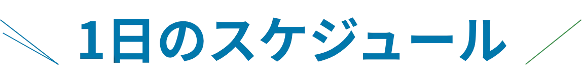 1日のスケジュール